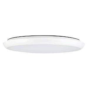 LED OYSTER DISC 30W CTC 400MM O/D WHITE